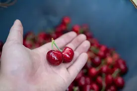 减肥先要搞清楚吃什么，吃多少，怎么健康的瘦图片