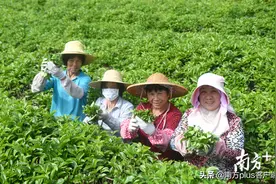 161.5万相对贫困人口全部脱贫！广东这2277个相对贫困村全部脱贫出列图片