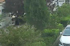 200斤壮汉偷电瓶，万万没想到被七旬大爷抓住了！网友：大爷终究是大爷图片
