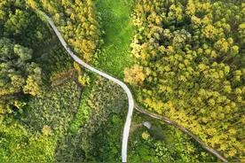 总投资2484万元！合浦准备对49条乡村路进行硬化建设，有你们村吗图片