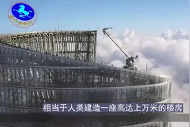 动物中的三大顶级建筑师，它们造的房子堪称奇观图片