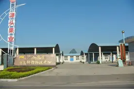 中国农垦品牌知多少丨广西农垦（第二批）图片