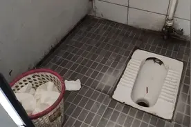 点解解锁《出游如厕指南》便洁宝图片
