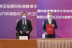 王石率万科豪捐53亿，居然是“空中楼阁”的“无主”资产图片