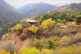 （视频）这里秋色让人醉！快来桃花沟赏深秋美景图片