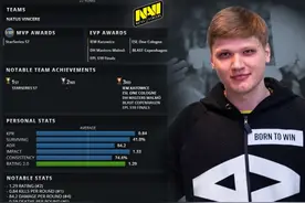 2019年TOP20 CSGO职业哥第2名：s1mple图片