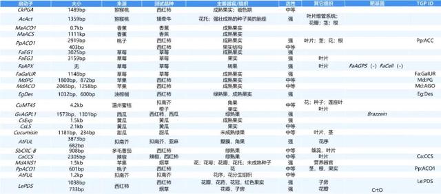进来抄作业，启动子要这么选