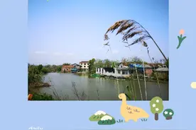 第一次用头条图片