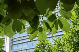 民事法律行为撤销、无效的法律后果及可撤销行为的时间规定图片