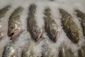 鱼肉保鲜，有人去内脏，有人不去内脏，教你3种技巧，鱼肉鲜又嫩图片