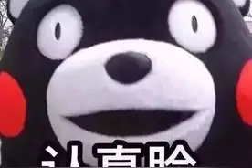 一到冬天变包公，有一种猫养着养着就“糊”了图片