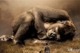 一种远古猛兽以人类祖先为食，如今后代却沦为宠物，深受人类喜爱图片