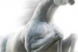 阉割了一匹公马 突兀起一座城堡 骟马城的传奇往事图片