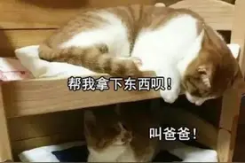 神回复：听说你们恶搞很厉害，能不能把我P得我妈都不认识我？图片