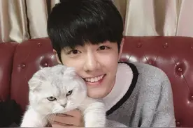 肖战粉丝又陷“举报门”，表面道歉，背后举报？图片