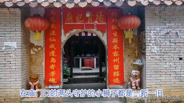 杨贵妃是不是广西容县人？山西陕西四川河南表示不服， 去探查