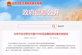 农业农村部：北京发生野生天鹅H5N8亚型高致病性禽流感疫情图片