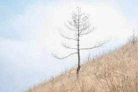 一个人混得怎么样，看他的朋友圈就知道了图片