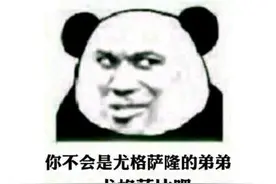 当年的网游玩家有多激情？三万人同服大战，修武器就修掉一辆奥迪图片