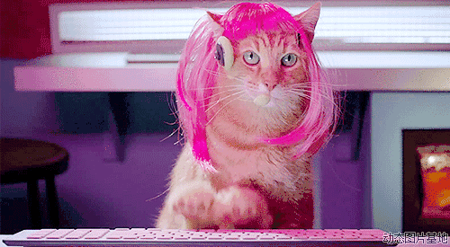 回忆杀！那些我们童年时玩过的网页小游戏