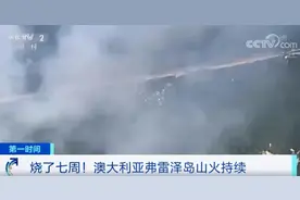火情恶化！澳大利亚山火已烧了弗雷泽岛一半面积图片