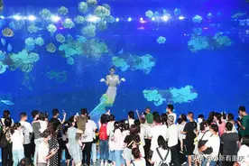 重庆汉海海洋公园水下人鱼表演庆国庆图片