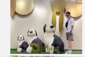 赵继伟太狠！调侃高诗岩讨薪风波，离开辽宁男篮，工资都发不出了图片