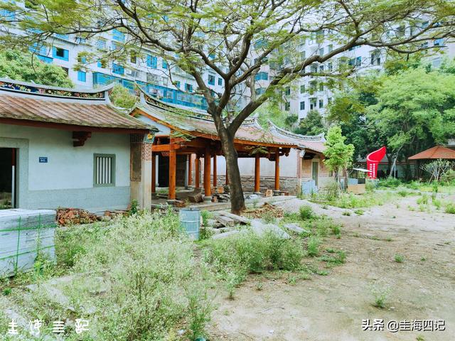 新垵的“垵”，不只读“ān”，还与曾厝垵是同源