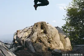 服部武藏是日本最有名的忍者吗？带你了解忍者真正的历史图片