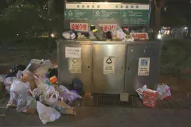 厨余垃圾，需要多方合力“除臭”图片
