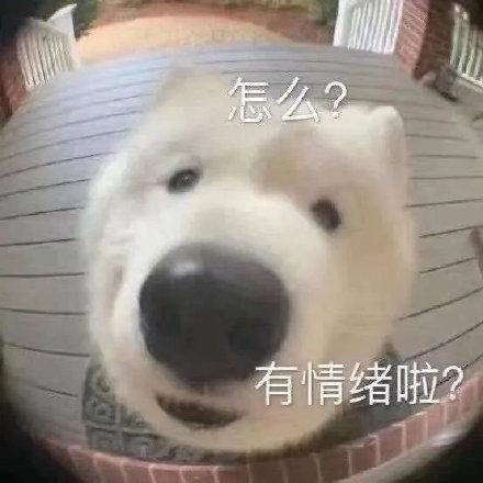 全国最大的看片工具，现在全都凉了