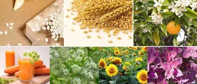 涓€娆惧彿绉?鈥滀笂甯濆垱閫犵殑鐗欒啅鈥?姊呭ゥ鍖婚櫌閮芥槸鎸囧畾瀹?缃戝弸锛氫竾鑳? onerror=