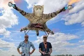 猫咪被绑在无人机上，启动的瞬间，原谅我不厚道的笑了！图片