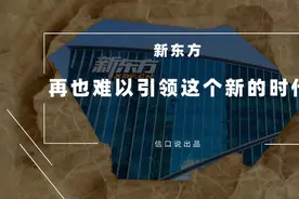 撕裂新东方图片