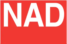 投入少、回报高的音乐聆赏组合，试试NAD和ELAC的超值搭配图片