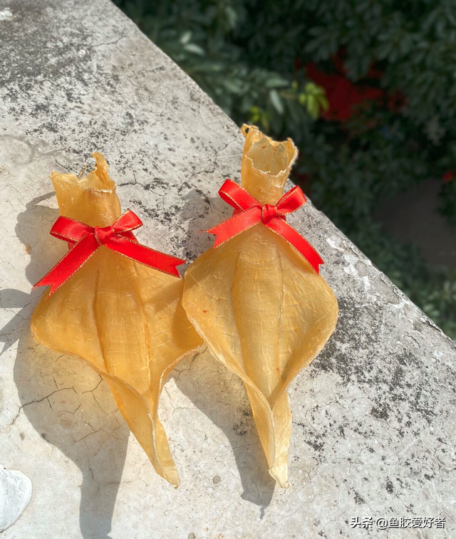 白花胶是什么鱼的鱼胶 2026年白花胶的特征