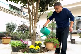 农家庭院齐比“美” 美丽家园大家“秀”图片