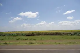 非洲肯尼亚生活工作经历分享-60（中肯结合的跨国婚姻/恋人）图片