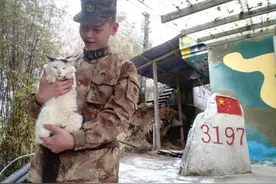 戍边“元老”竟是喵星人图片