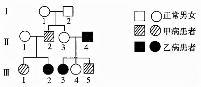 2022届高三开学摸底考试生物试卷（河北卷）