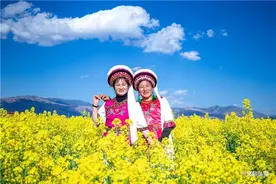 25日起，昆明至大理动车票最低80元！踏青赏花正当时图片