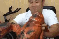 GIF搞笑动图集锦图片