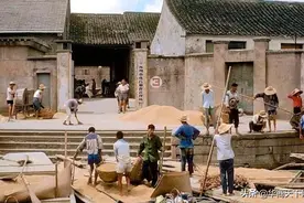 交过公粮的农民可领补贴？别想了，致敬那些的交公粮、修桥、挖河图片