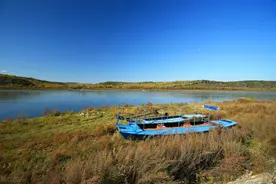 黑龙江发布2021年养老金调整方案，较2020年有较大变动，来看看图片