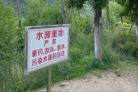 嗖！有人往大连水库里“射箭”图片