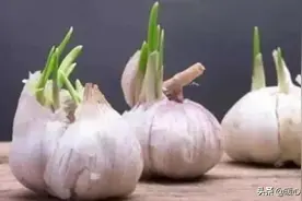 长芽的洋葱、土豆、大蒜、生姜到底能不能吃？专家告诉你答案！图片