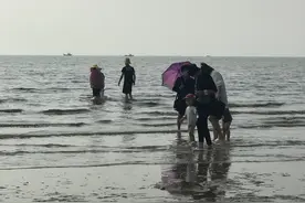 营口的北海海洋公园的免费红利期快结束了，紧锣密鼓要收费了图片