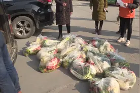 湖北襄阳采购“蔬菜包”，本地居民半价买，剩余政府补贴！视频封面