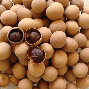 带你了解不一样的水果—龙眼，美味水果之一