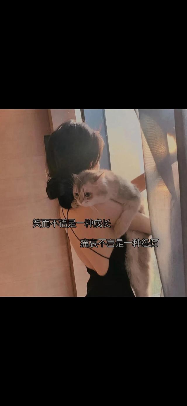 情感壁纸｜你终会明白，别人的屋檐再大，都不如自己有把伞